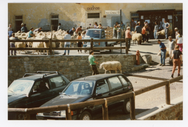 Moreschini Giovanni 0023